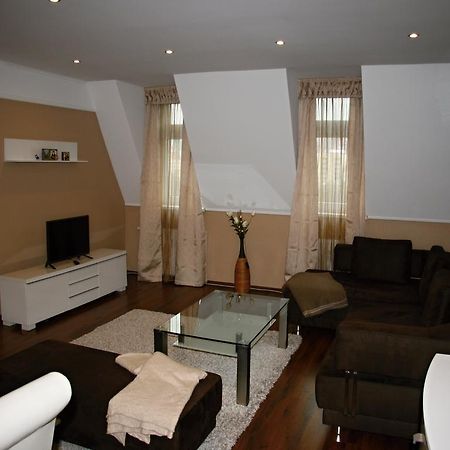 Apartman Dr. Engla Karlovy Vary Room photo